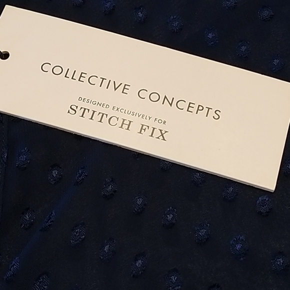 Stitch Fix Navy Damon Swiss Dot Shear Blouse XS - Picture 7 of 12